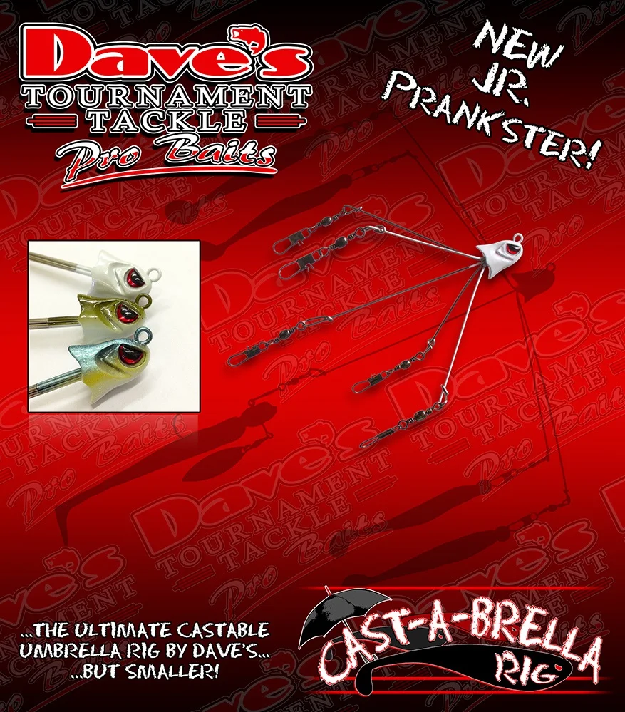 daves_CASTABRELLA_JR.jpg
