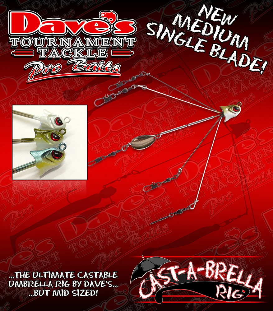 daves_CASTABRELLA_MED.jpg