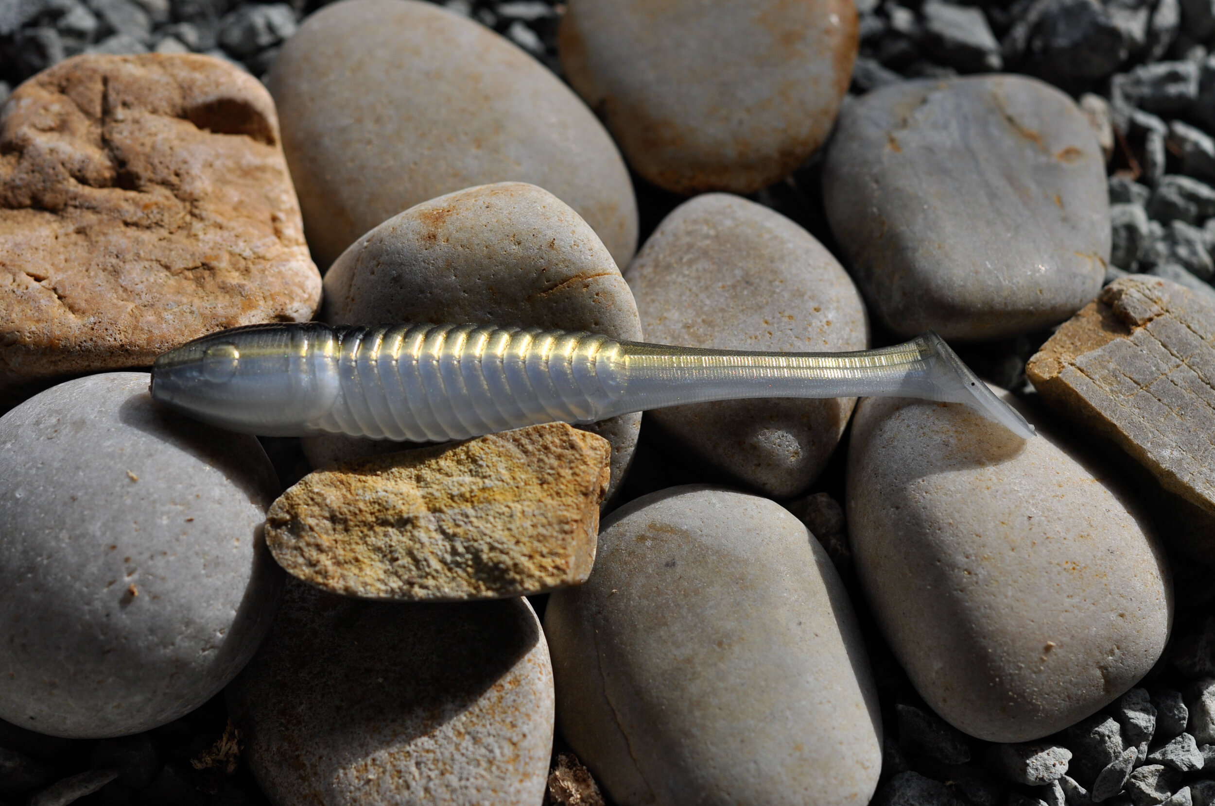 22FF1127-102B-4309-B5B5-FDCAED48FC57