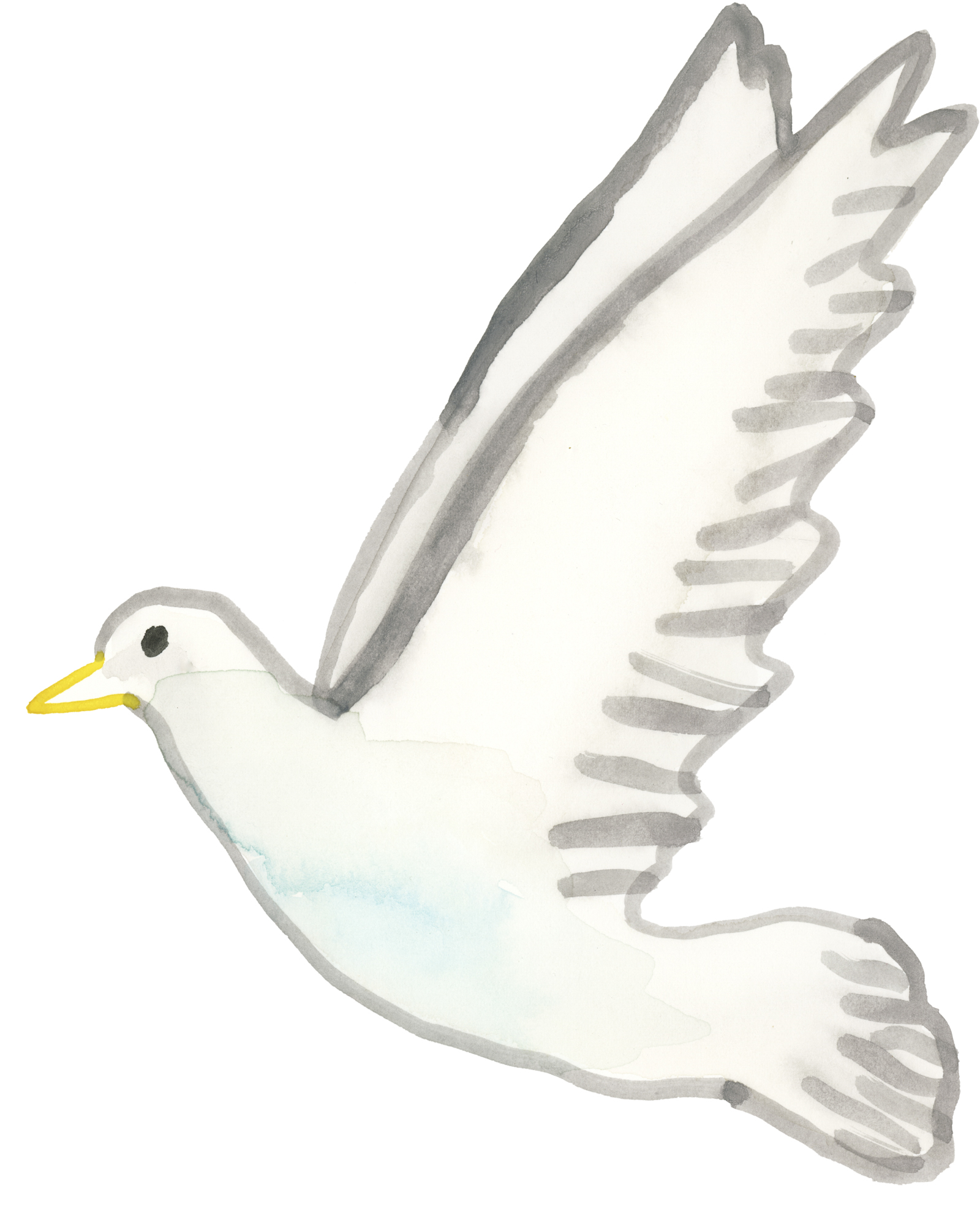 Bird4.jpg
