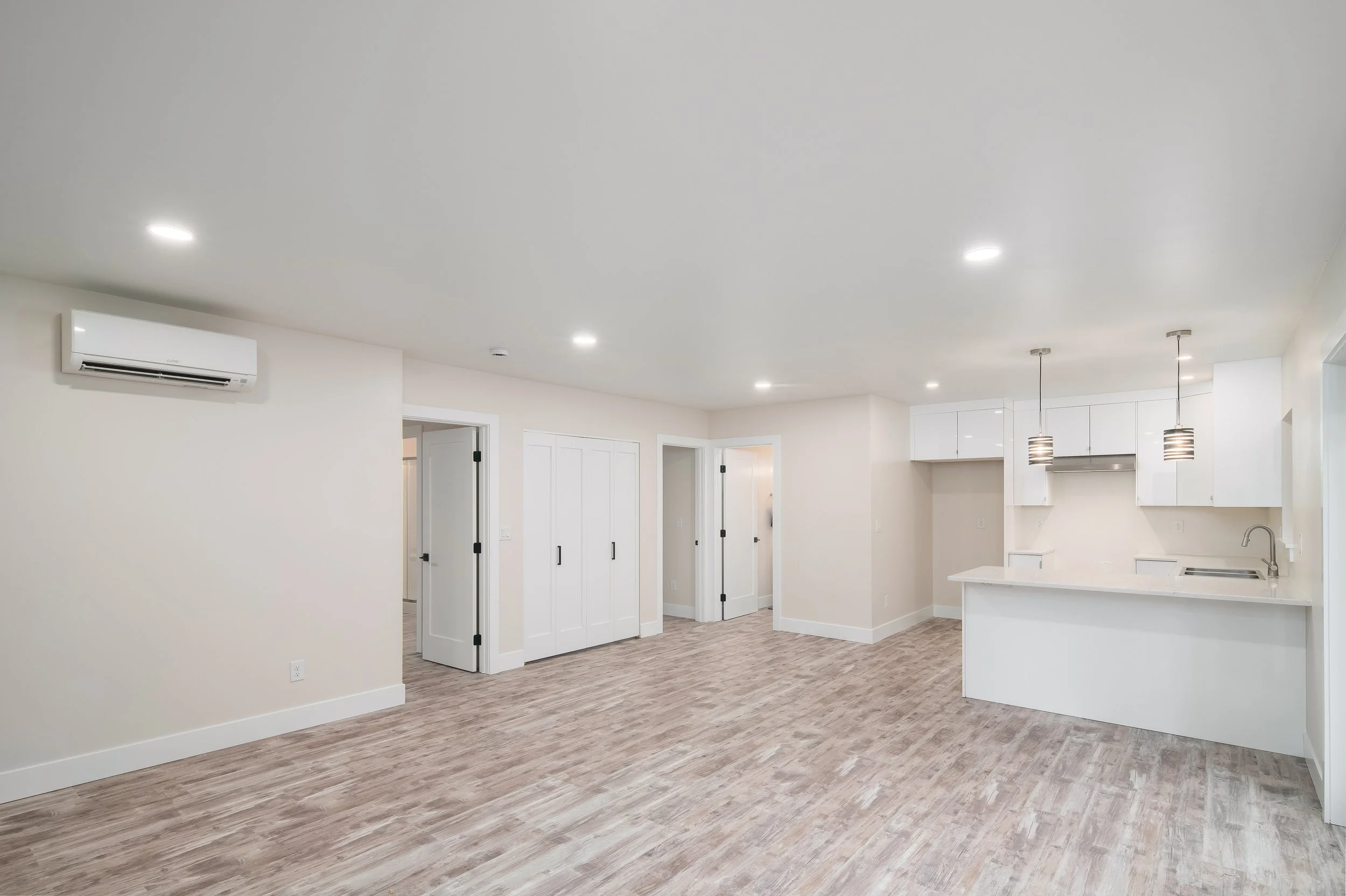 Living Area & Kitchen