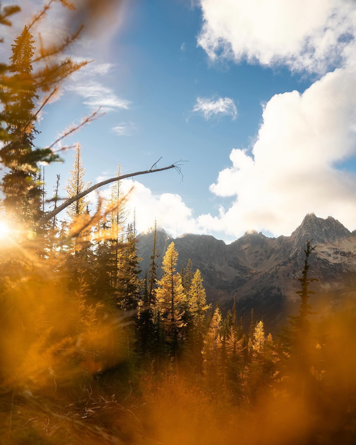 Pictures of the North Cascades don&rsquo;t do justice. It&rsquo;s something you gotta see in person ⛰️

#larchseason #pnw #sonyalpha #northcascades