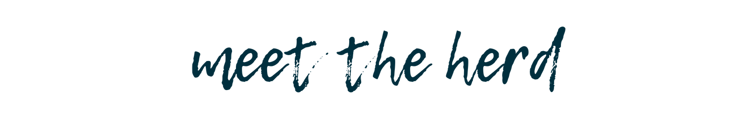 Copy of the land with soul (1).png