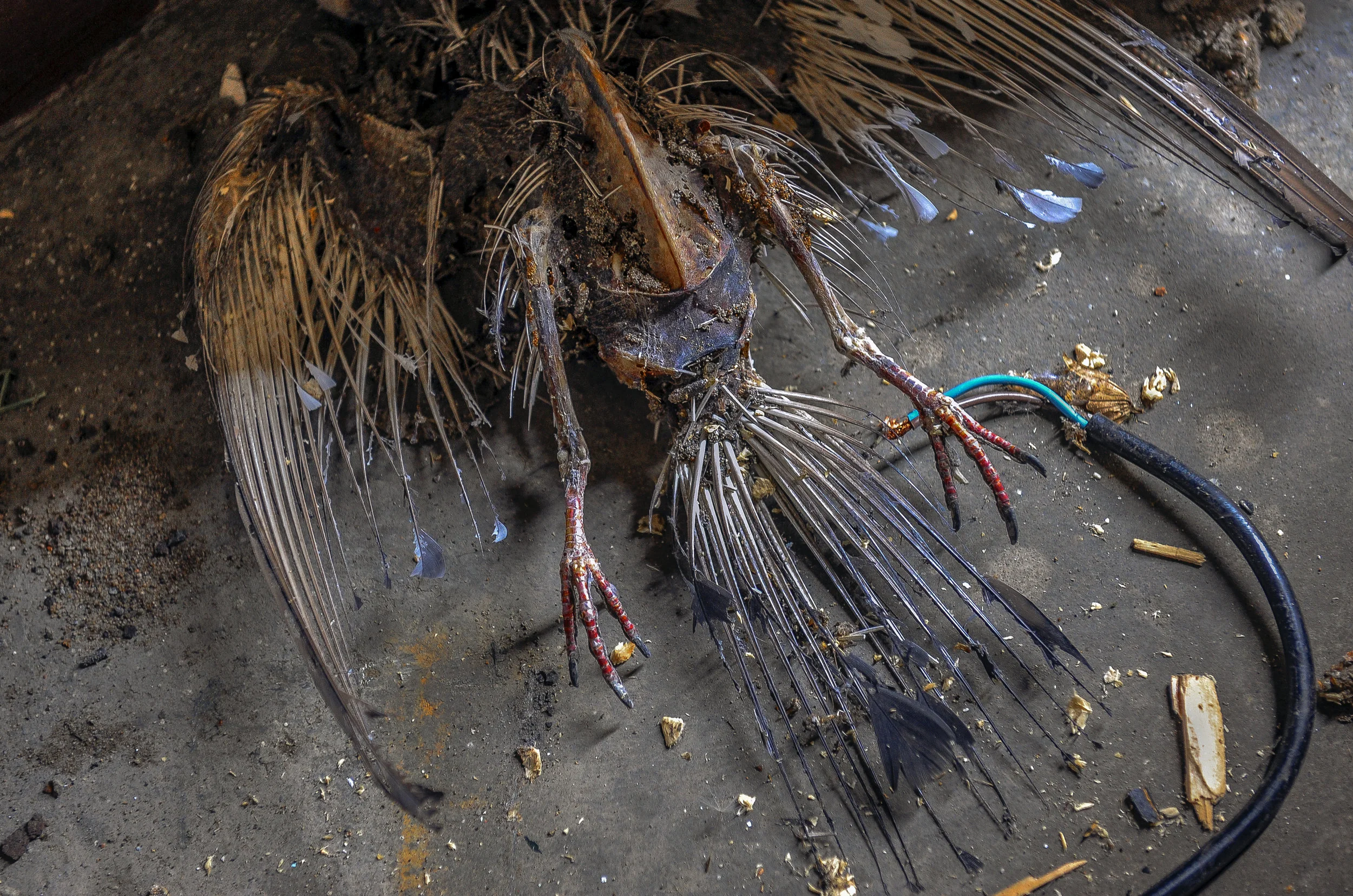 PIT_9294-2 Kopie.jpg