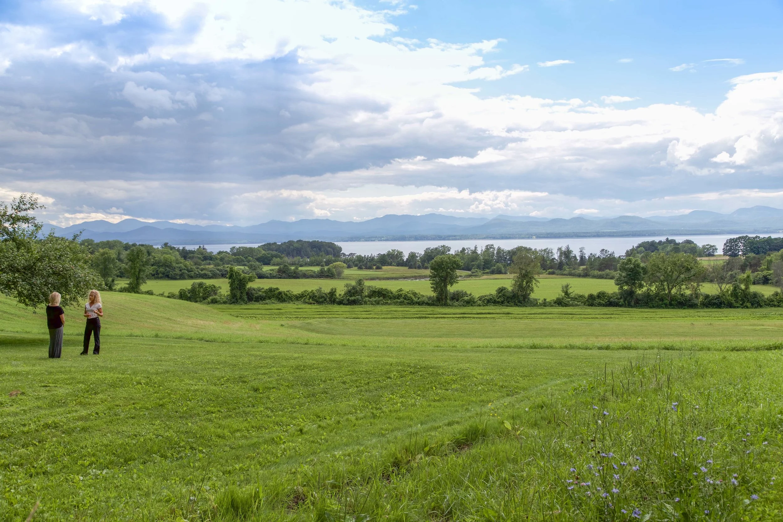 wholeliving-40.jpg