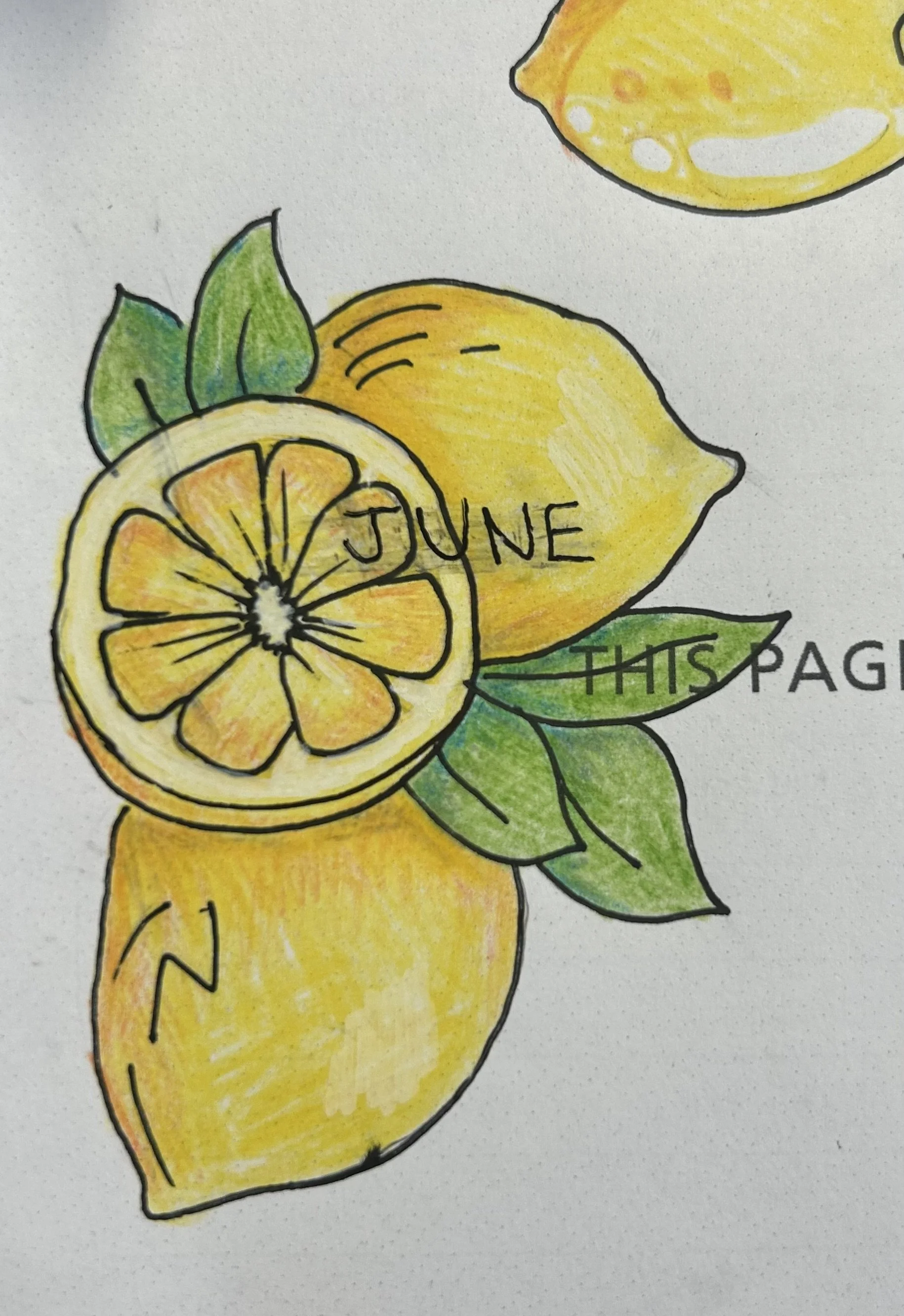 lemon sticker.jpg
