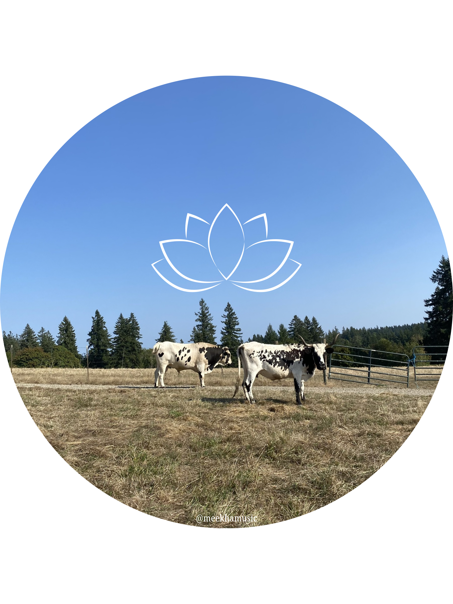 Your paragraph text.png