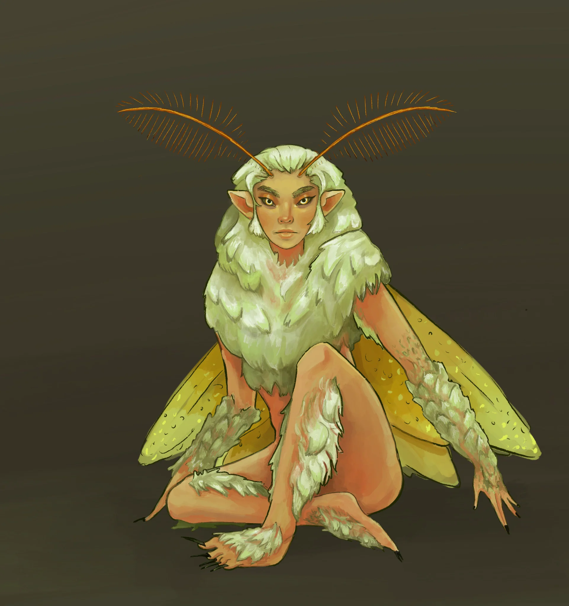 Moth Fairy.jpg