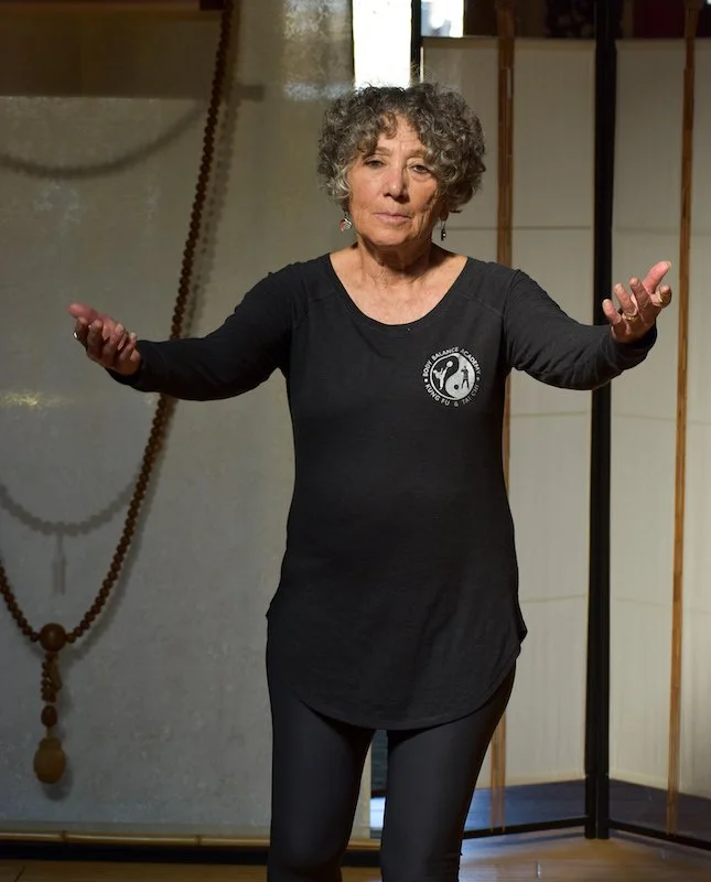 Chen Pan Ling Seminar