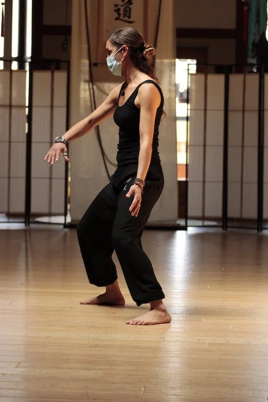 Kung Fu Forms Refinement & Explication