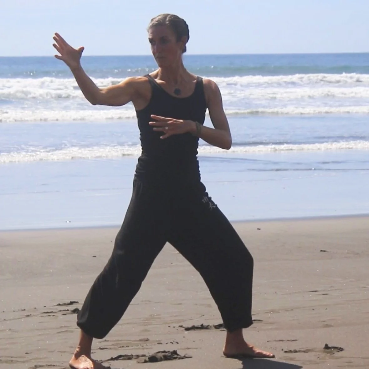 Private Session with Shih Fu Eileen Hancock - $150 for 30 minutes