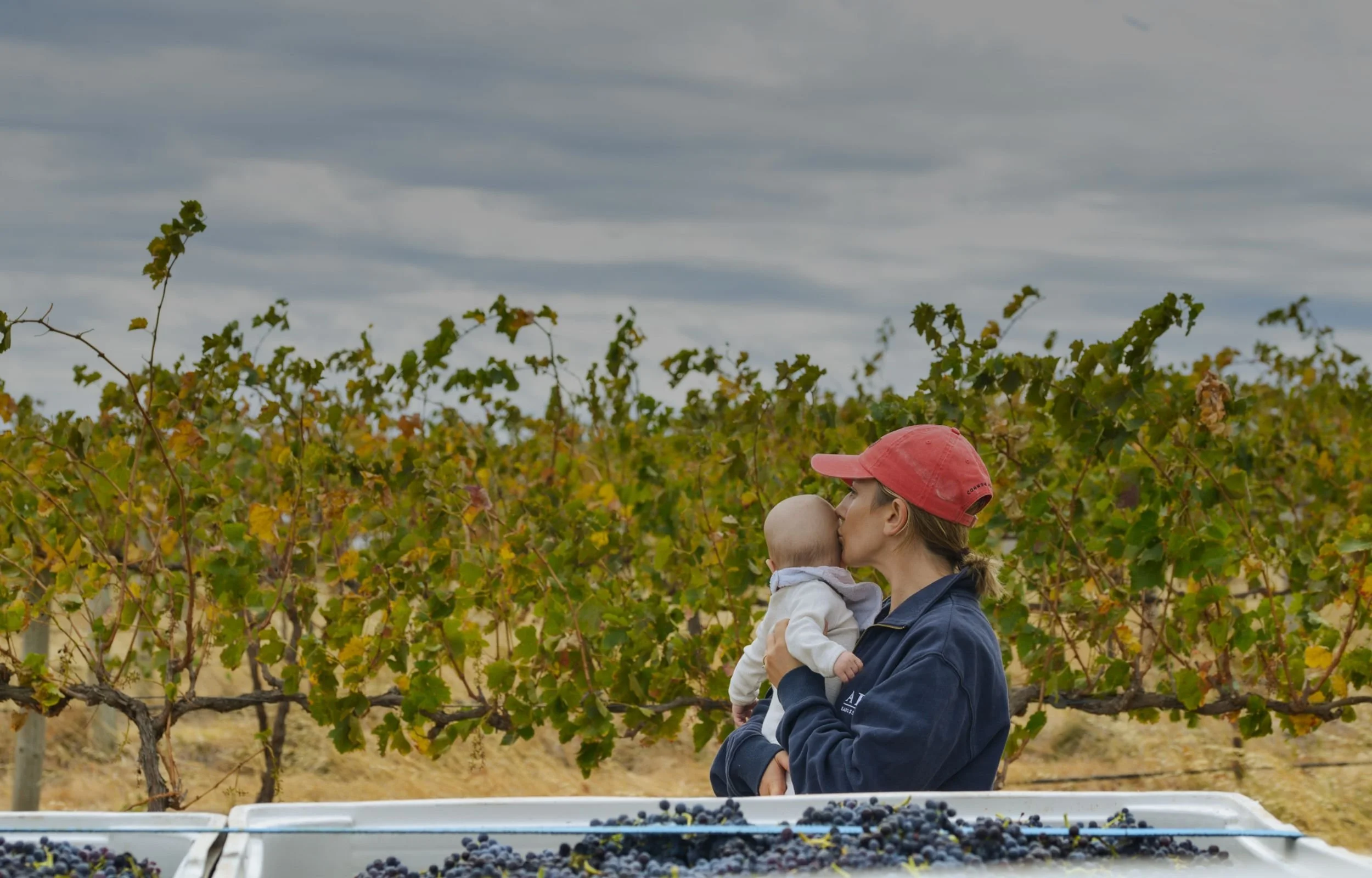 Auld Family Wines - Mother's Day Offer - Homepage Banner.jpg
