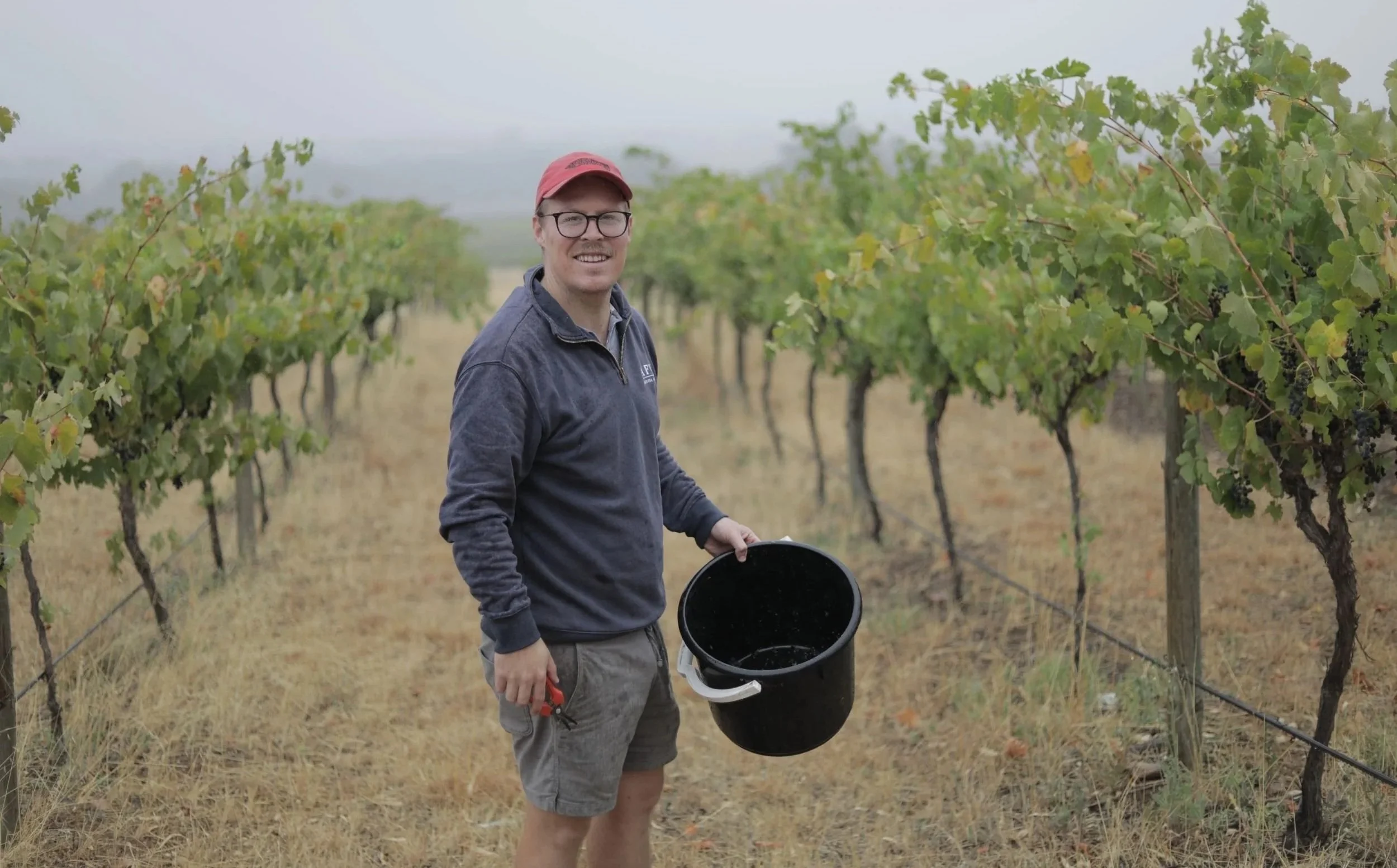 Auold Family Wines - Homepage banner - Sam in Bethany.jpg