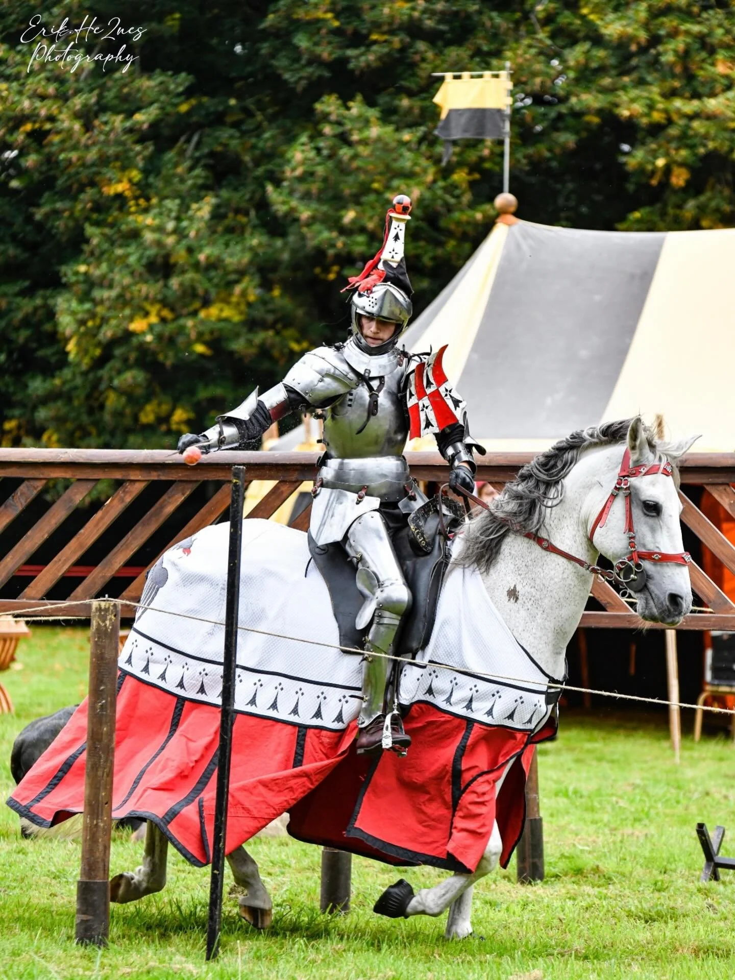 Bon Nouvel An Chinois 🎊 🧧 ann&eacute;e du Cheval de Feu 🔥 🐎 @chevalerieinitiatique 
📸 @erik_he2nes 

#lunarnewyear #yearofthehorse #fullspeed #joustingtournament #getlit