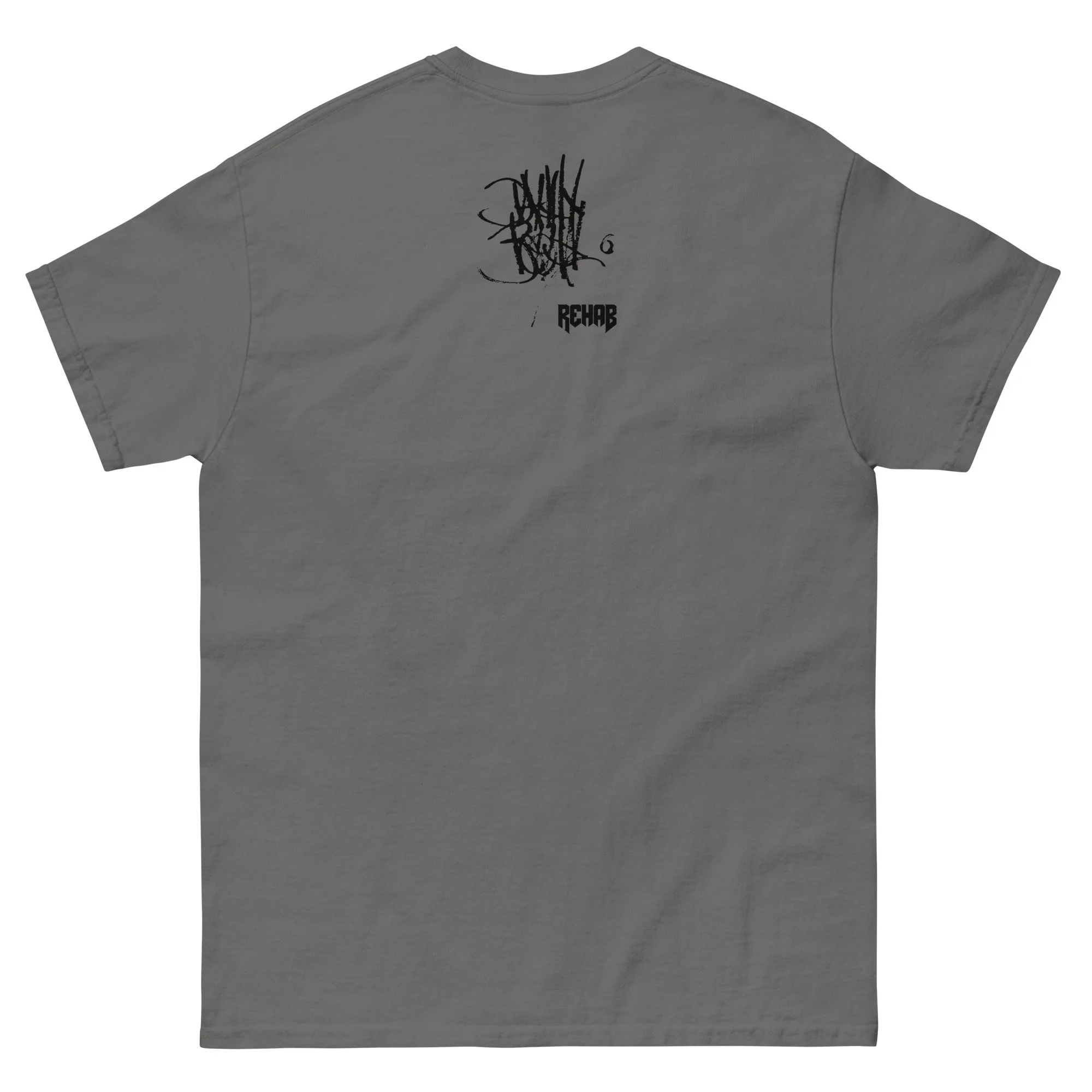 unisex-classic-tee-charcoal-back-67bcba077ff8f.jpg