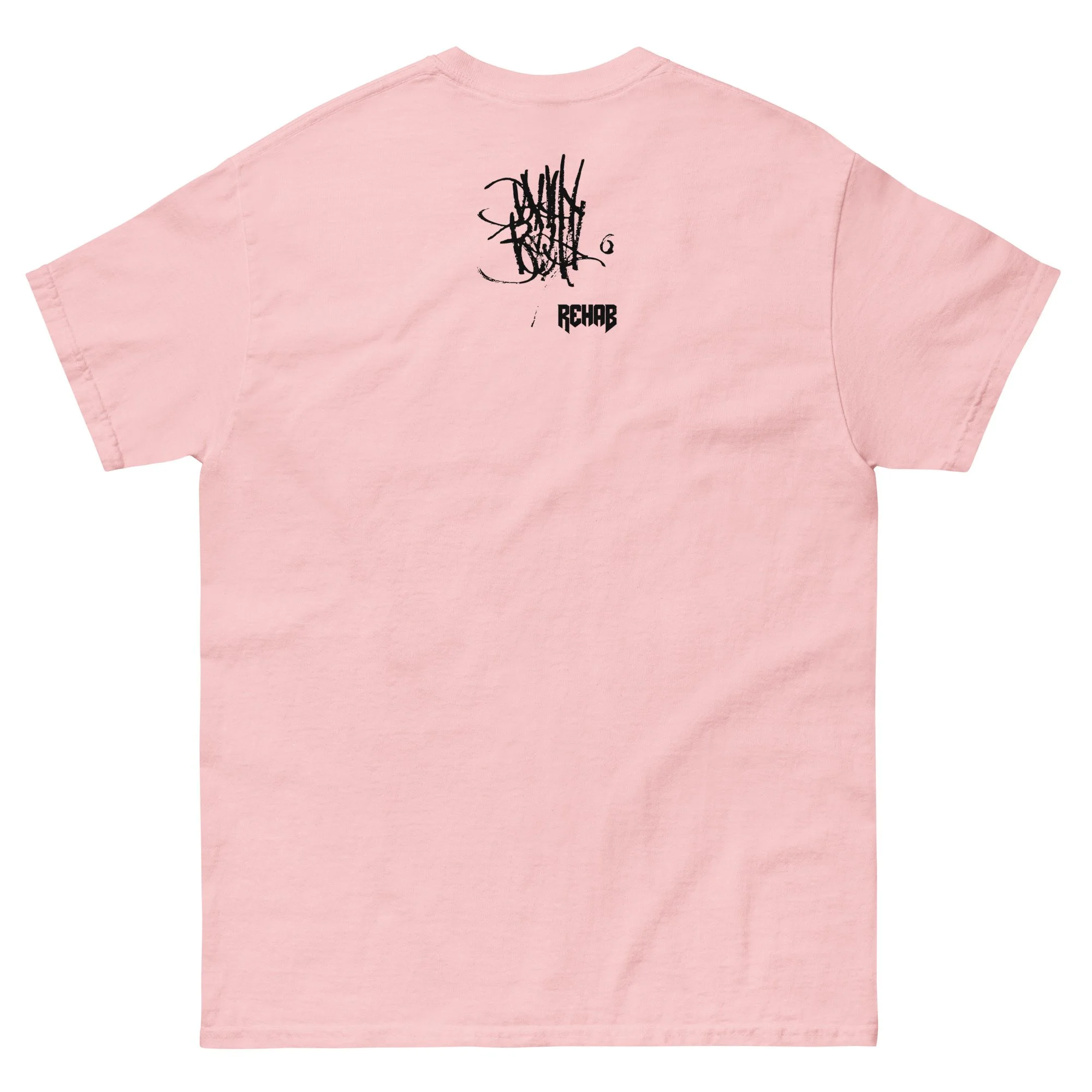 unisex-classic-tee-light-pink-back-67bcba080adb5.jpg