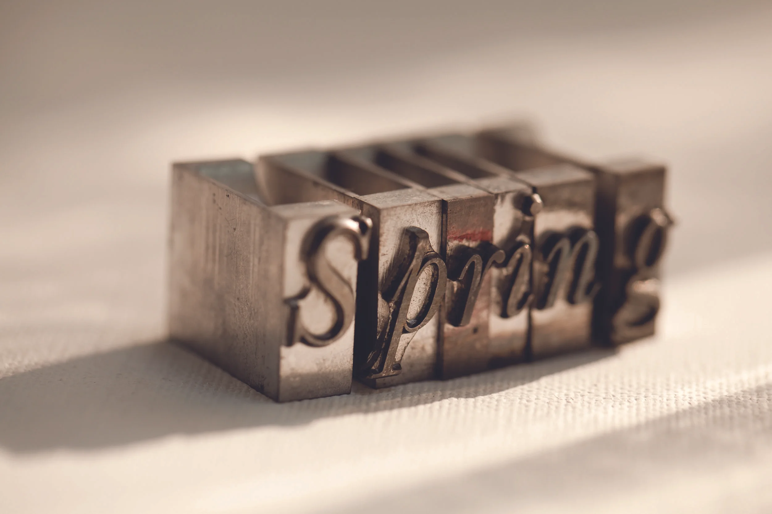 _MG_6631 Spring 3.jpg