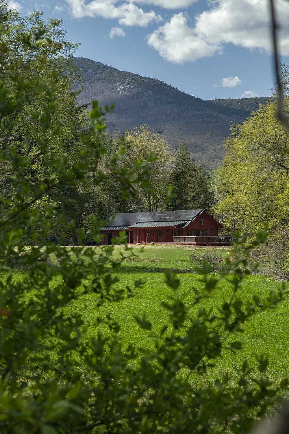 The Red House