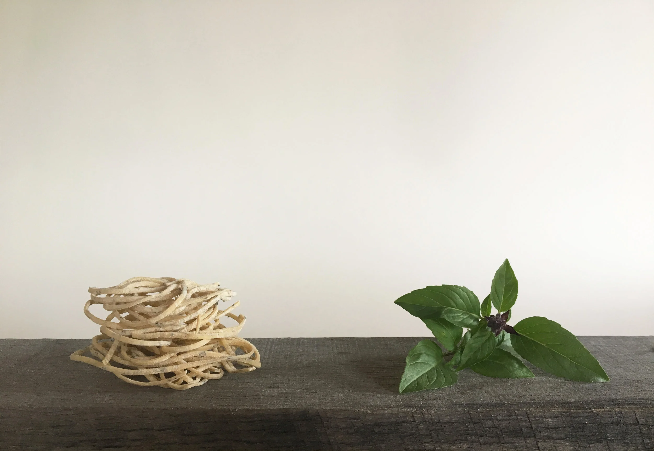 TB pasta straight_on.jpg