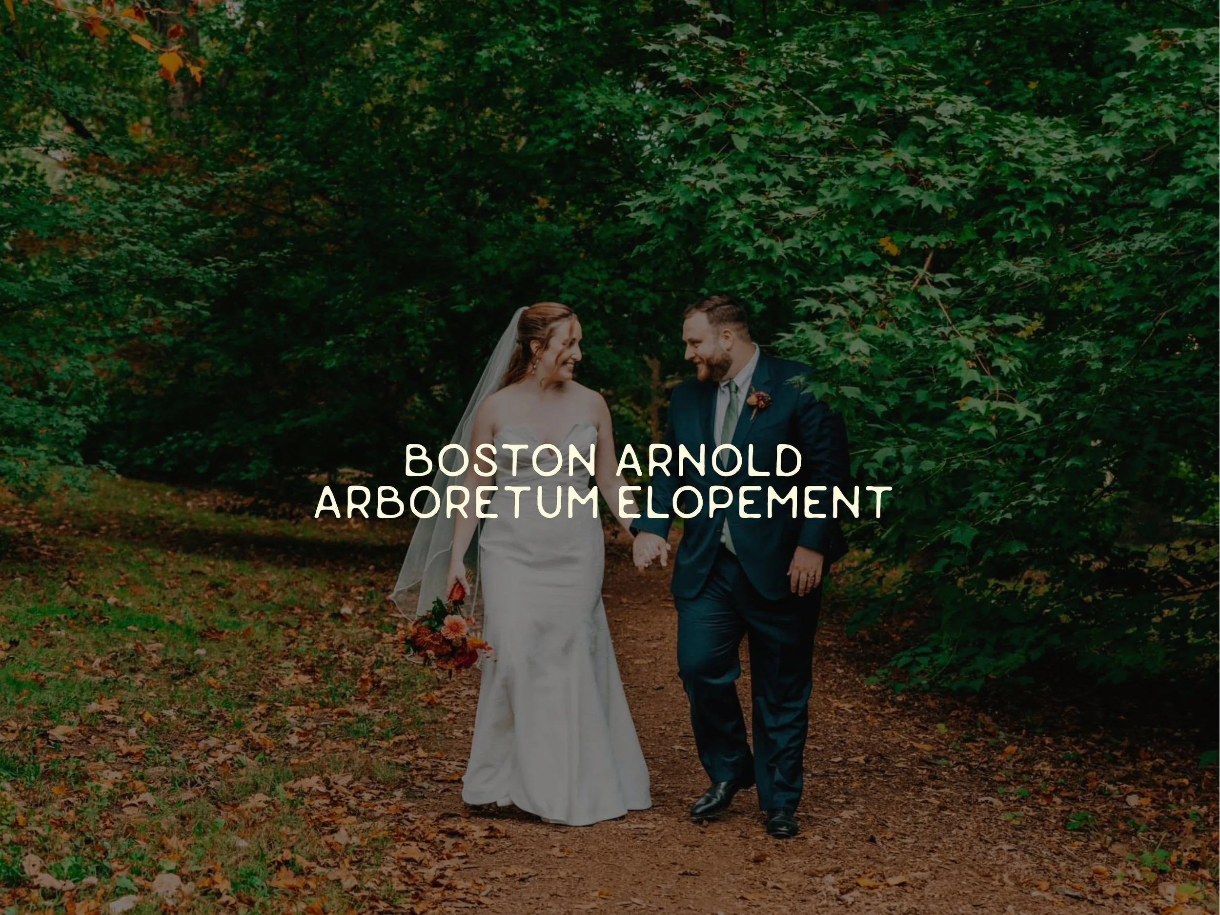 Arnold Arboretum Boston Elopement