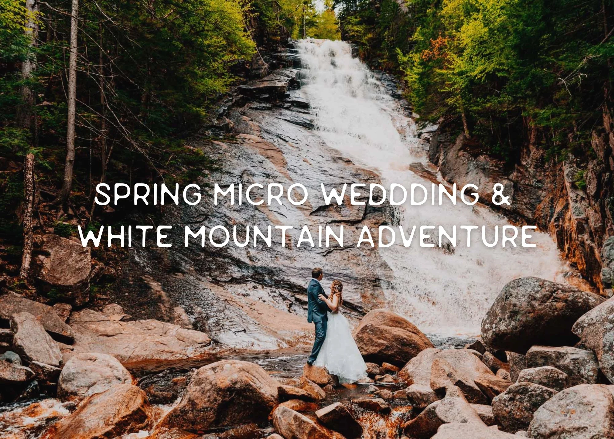Spring Garden Micro Wedding &amp; White Mountain Adventure Session
