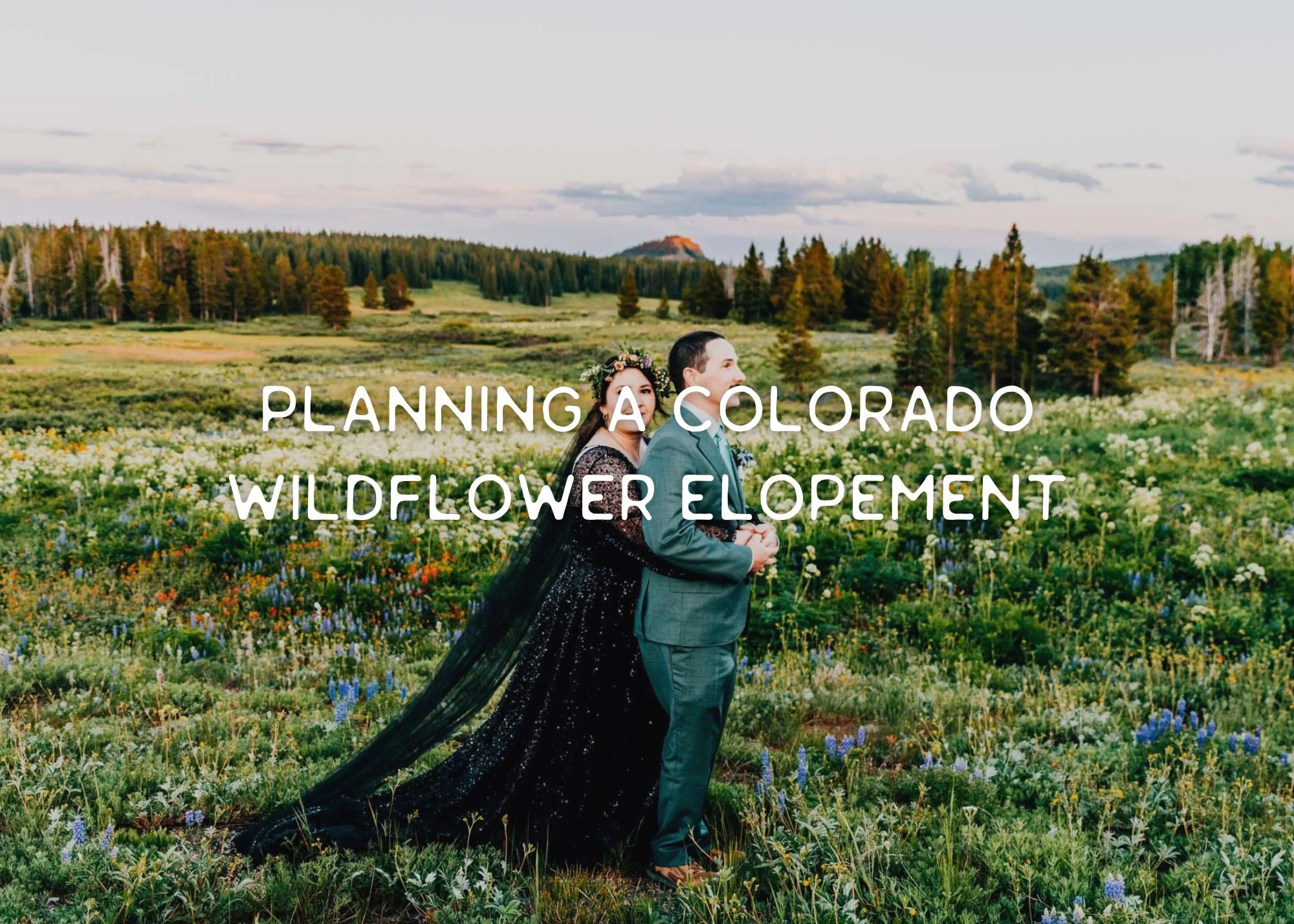 Planning a Colorado Wildflower Elopement: A Guide to Peak Blooms in Epic Locations
