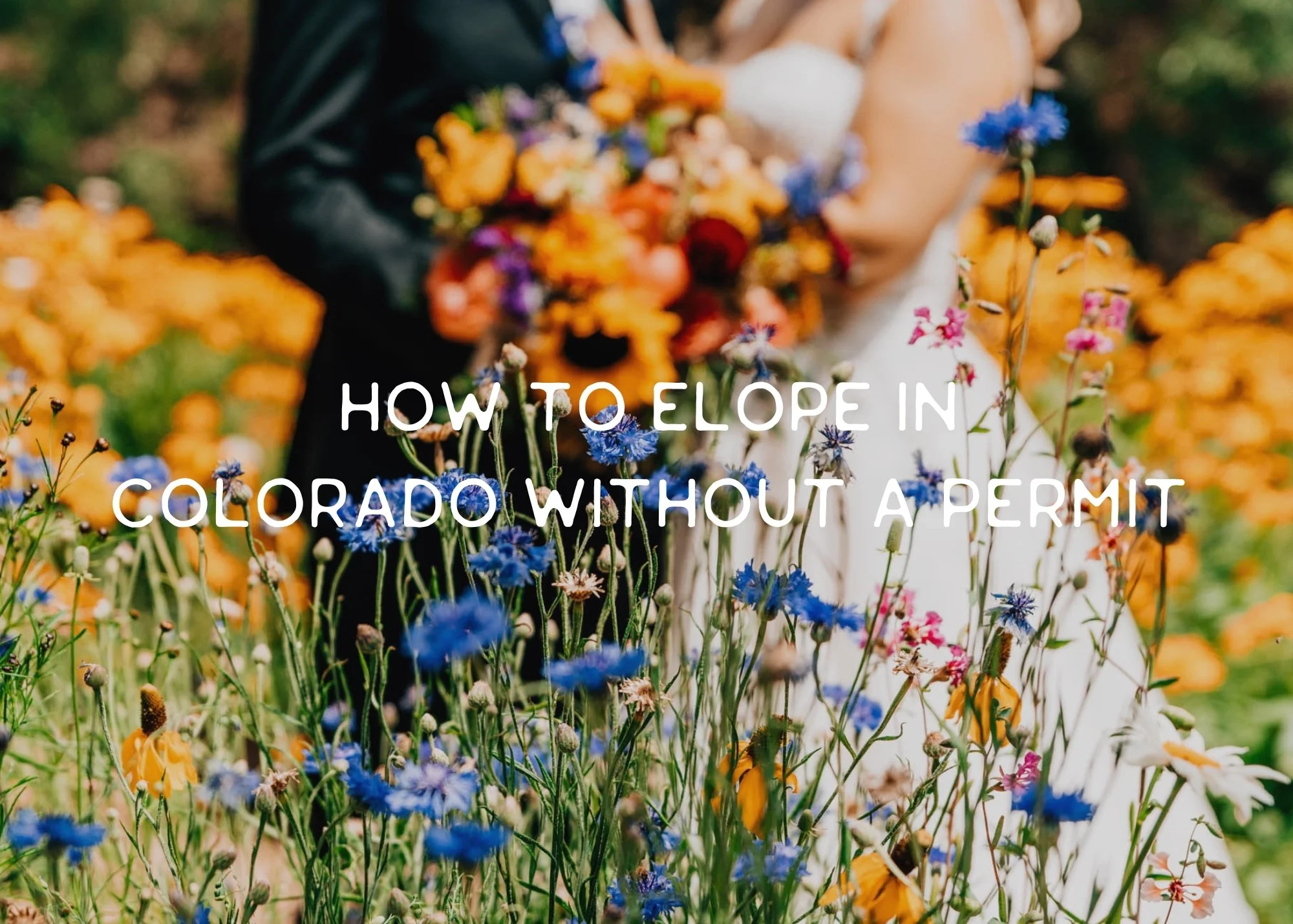 How to Elope in Colorado Without a Permit