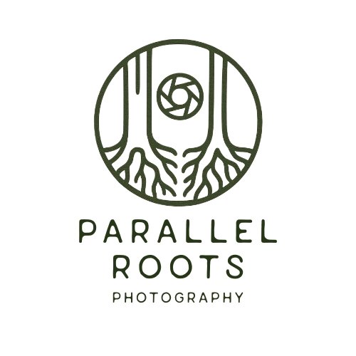 Parallel Roots Photography