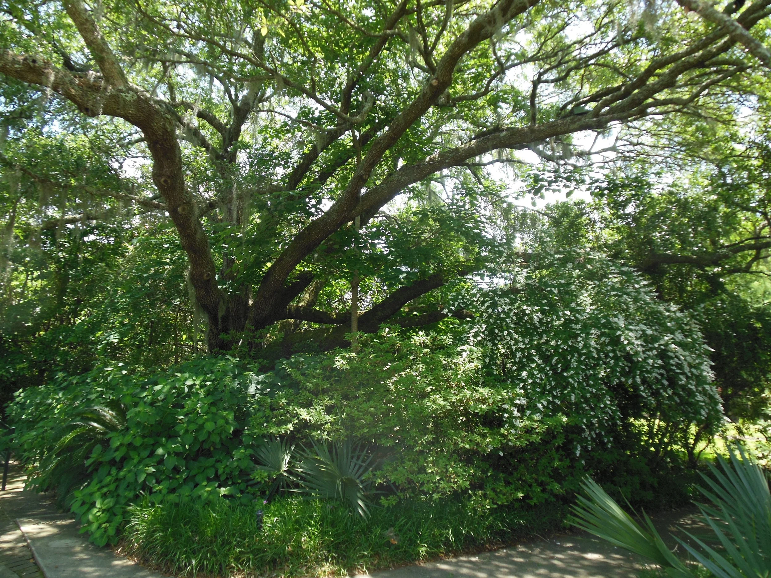 DSCN1624.JPG