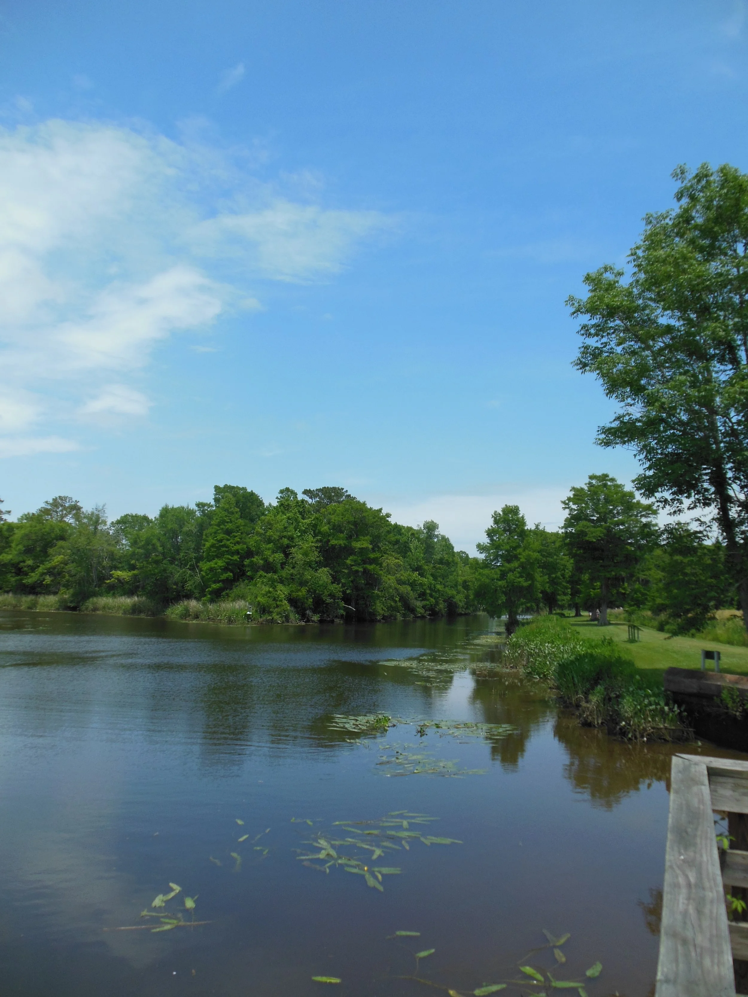 DSCN1703.JPG