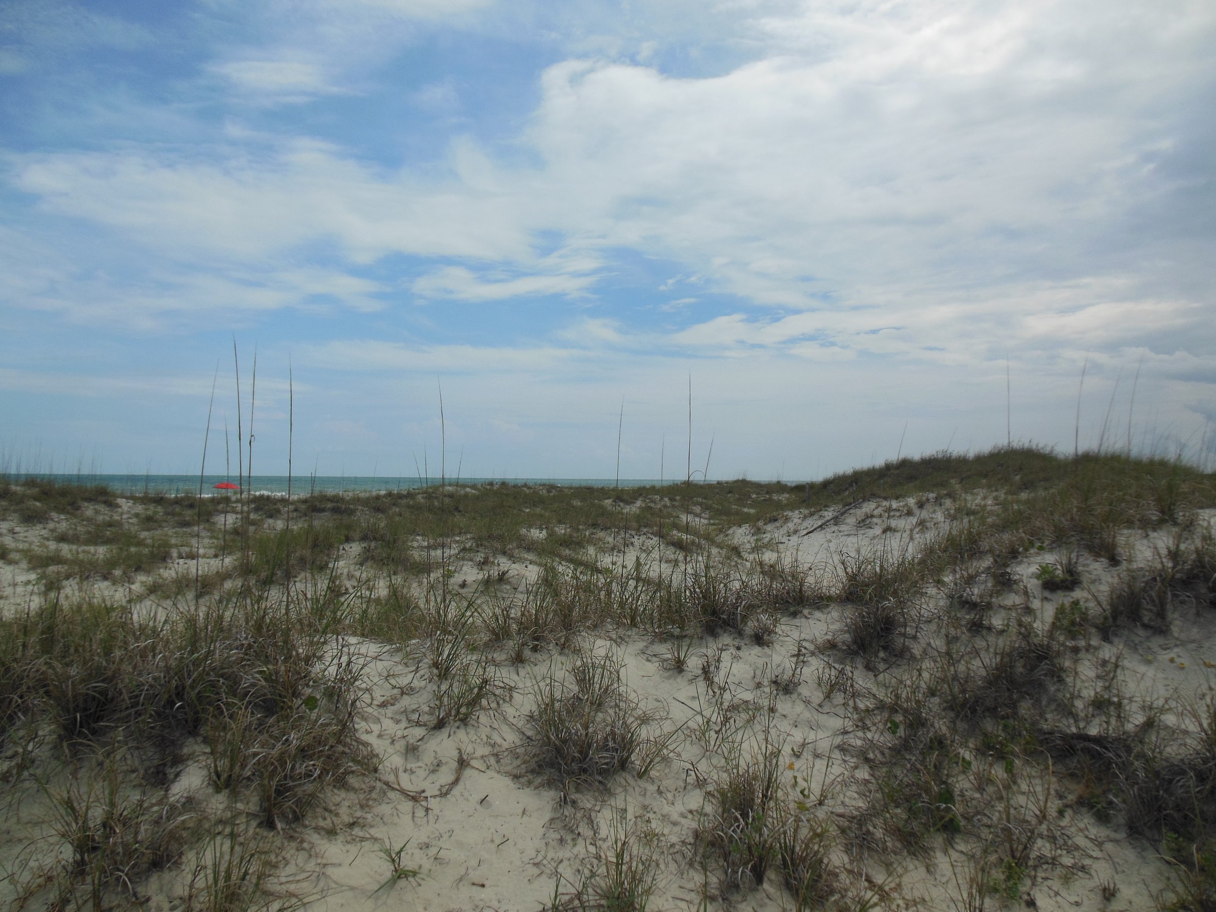 DSCN1740.JPG