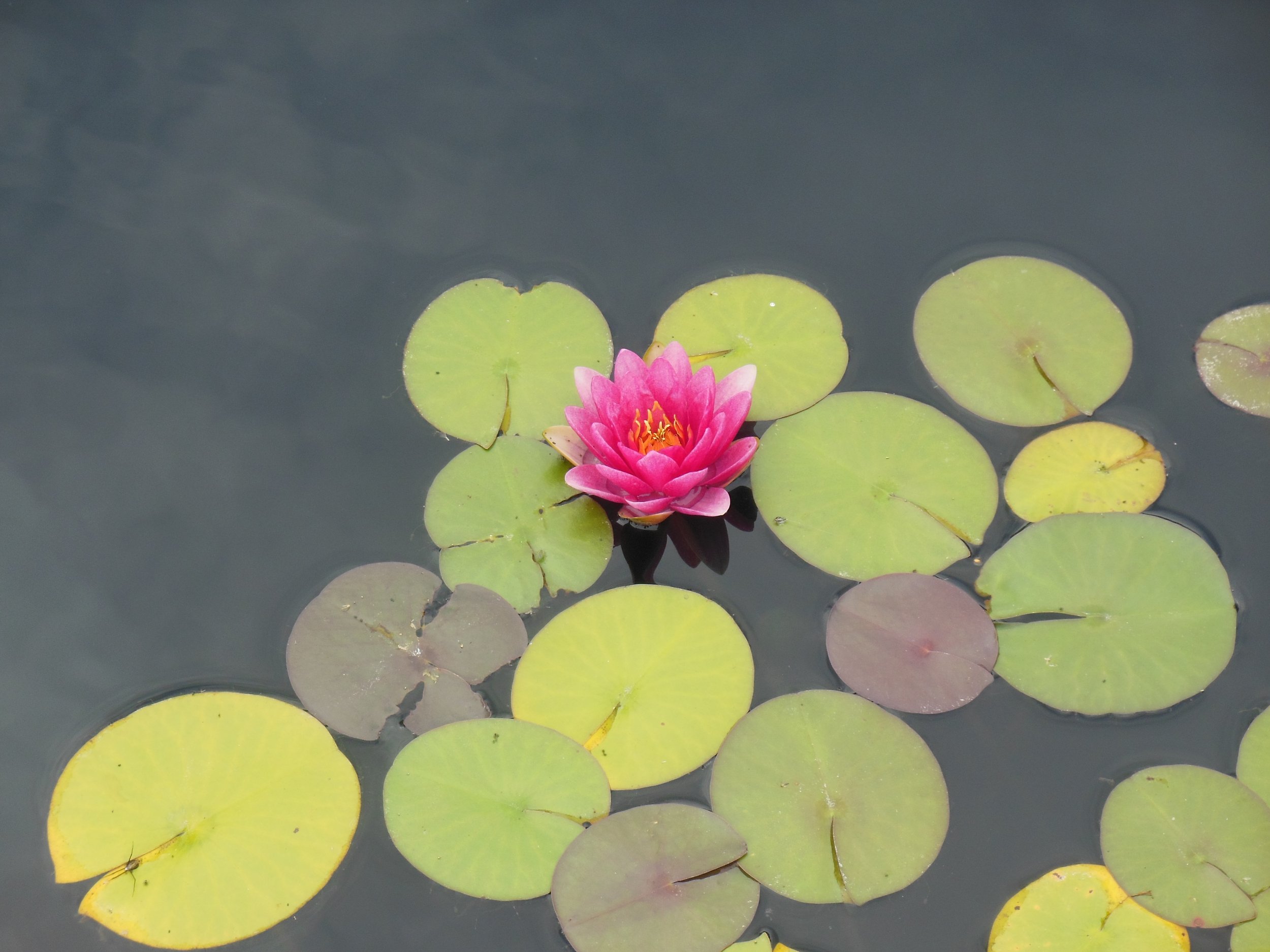 DSCN3790.JPG
