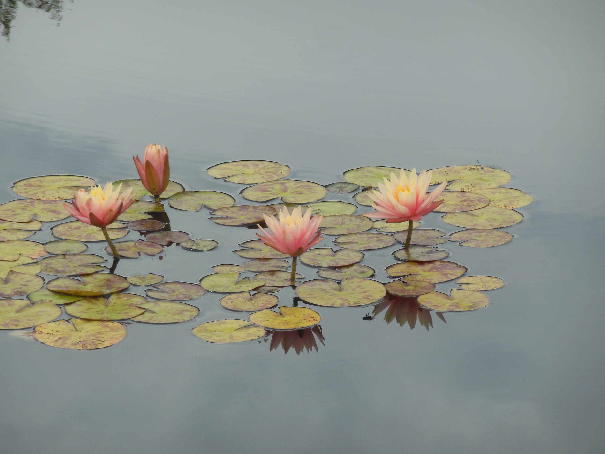 DSCN3793.JPG