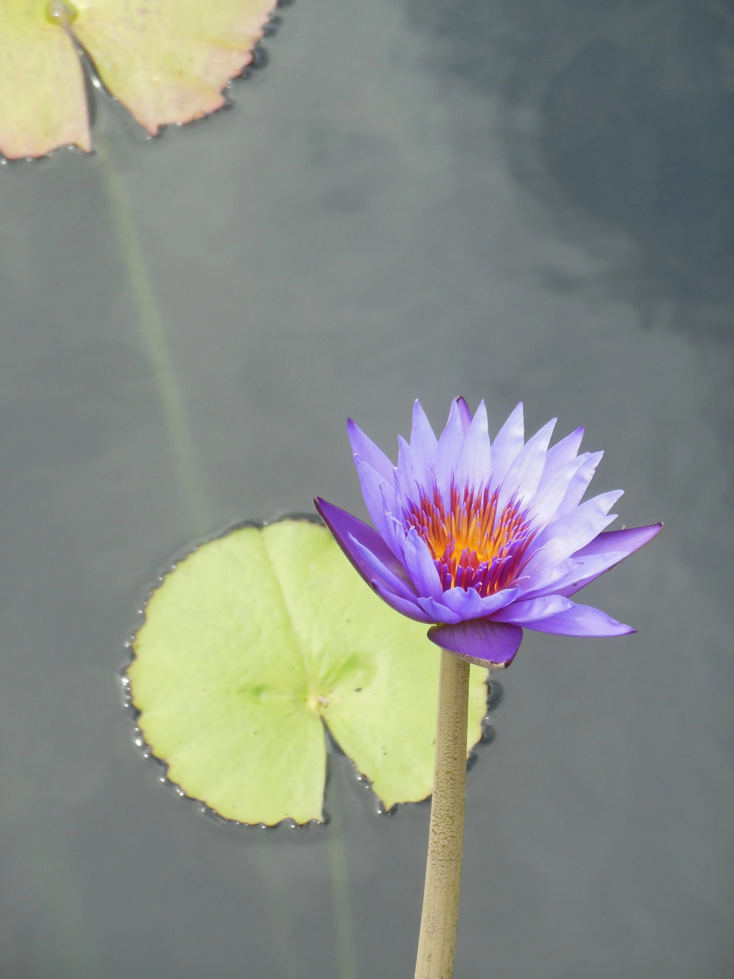 DSCN3805.JPG