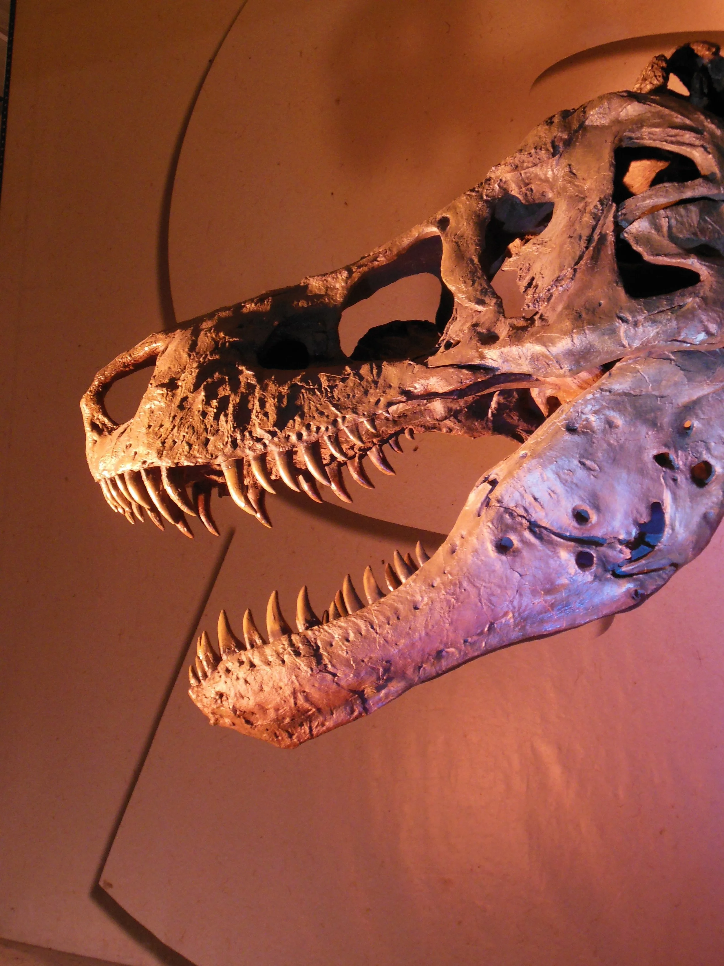 DSCN3831.JPG