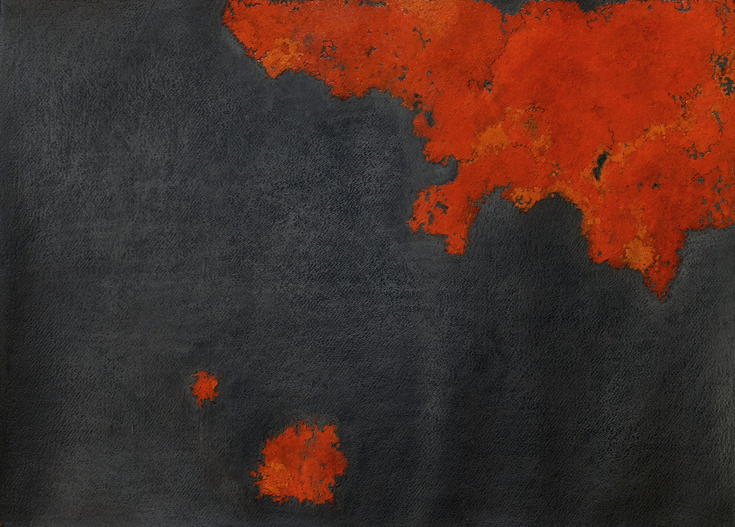 Rust Lichen , Oil paint and Graphite, 22” x 30” 2010