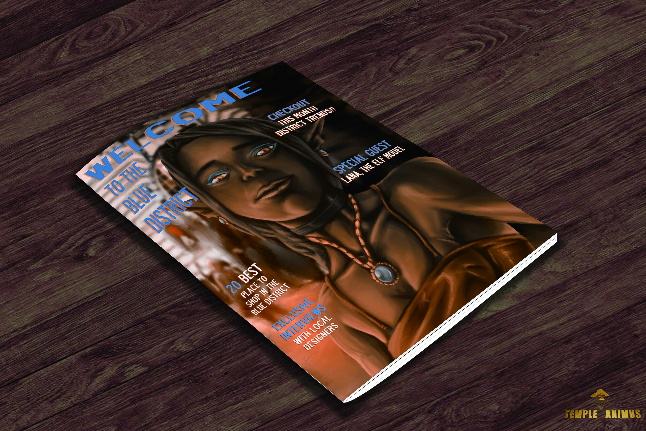 Blue District Mag.jpg