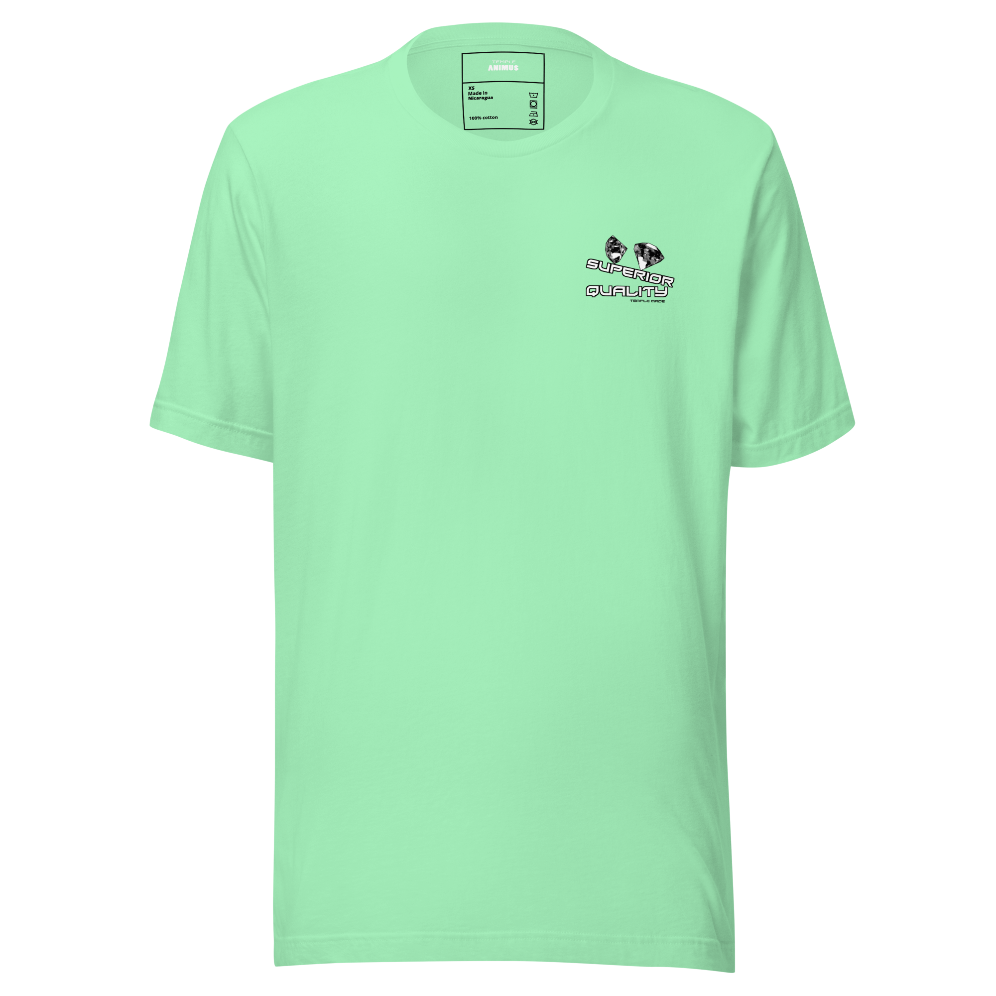 unisex-staple-t-shirt-mint-front-69e6594bd003b.png