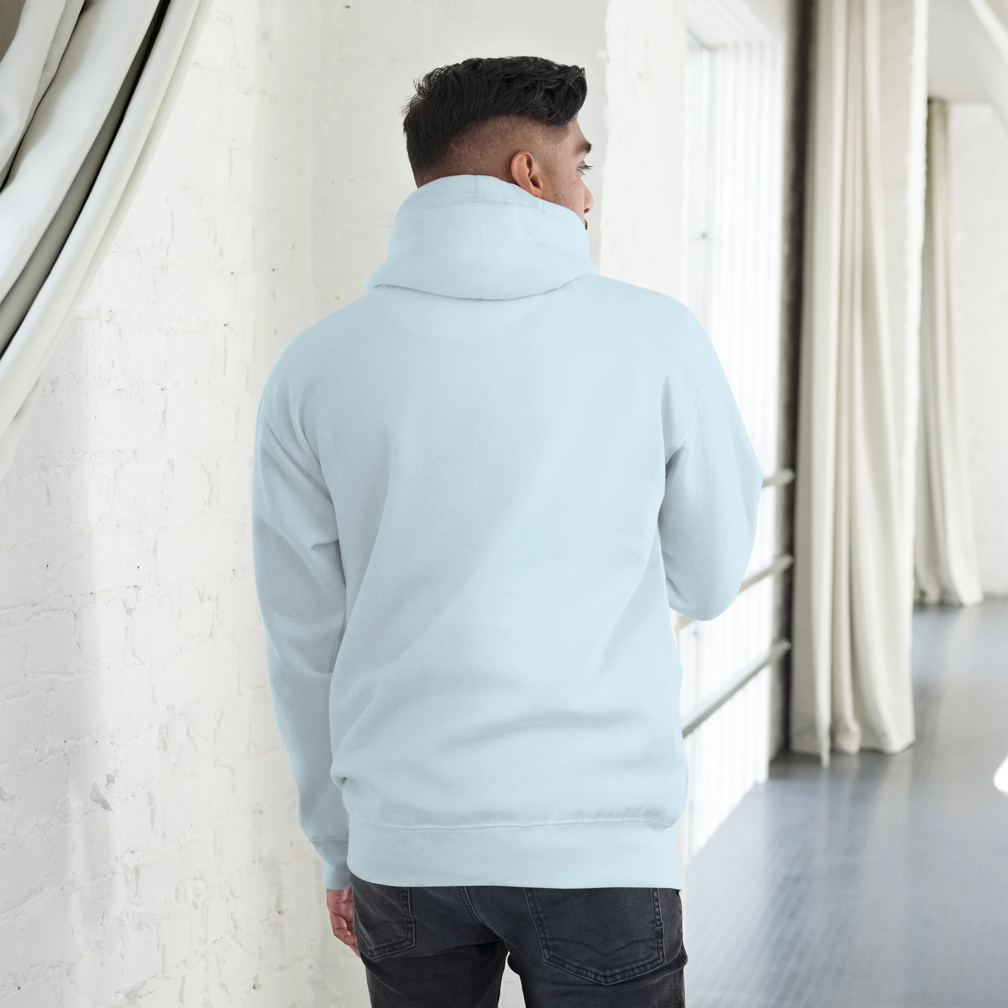 unisex-premium-hoodie-sky-blue-back-677c67a1b1740.jpg