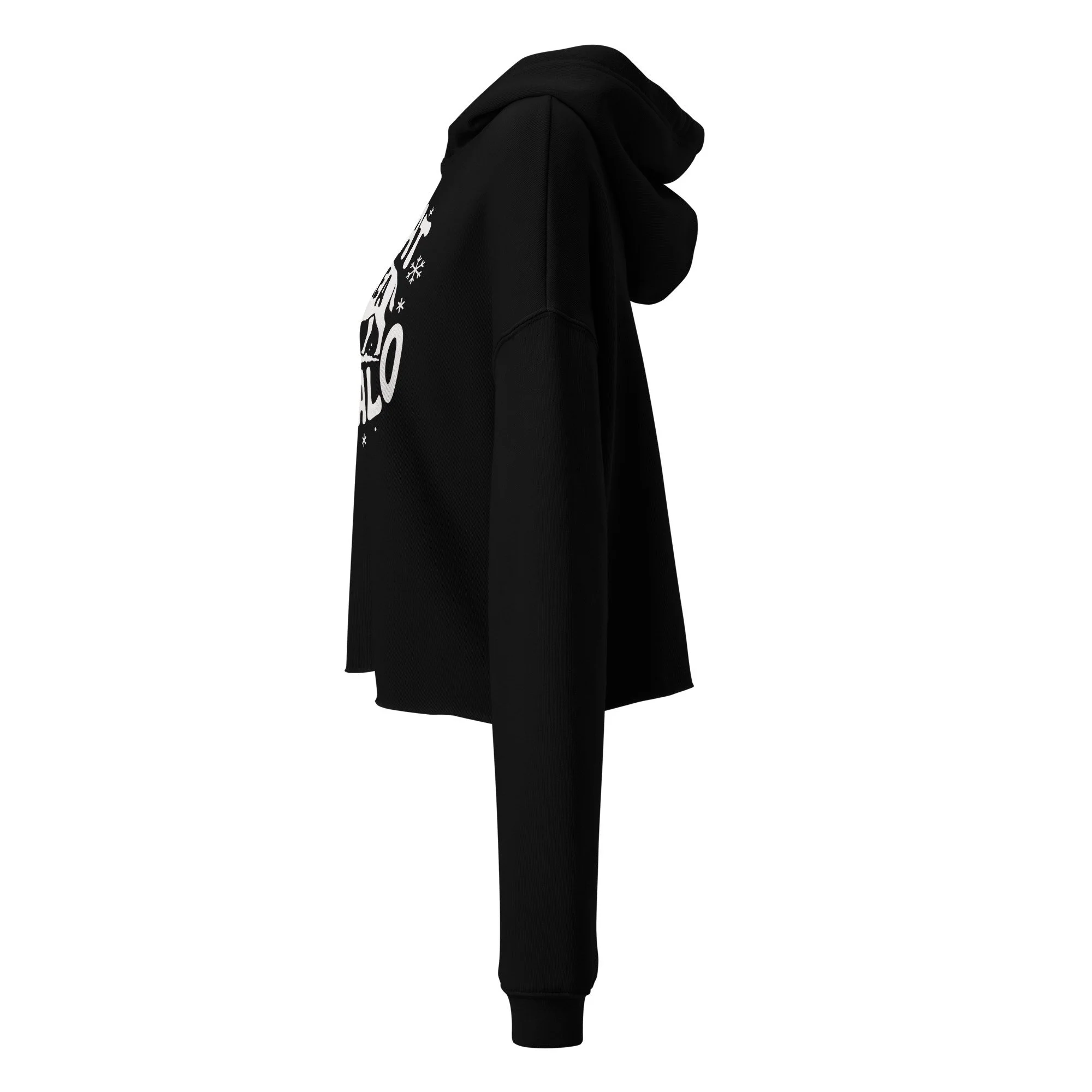 womens-cropped-hoodie-black-left-690402ef5e3ea.jpg