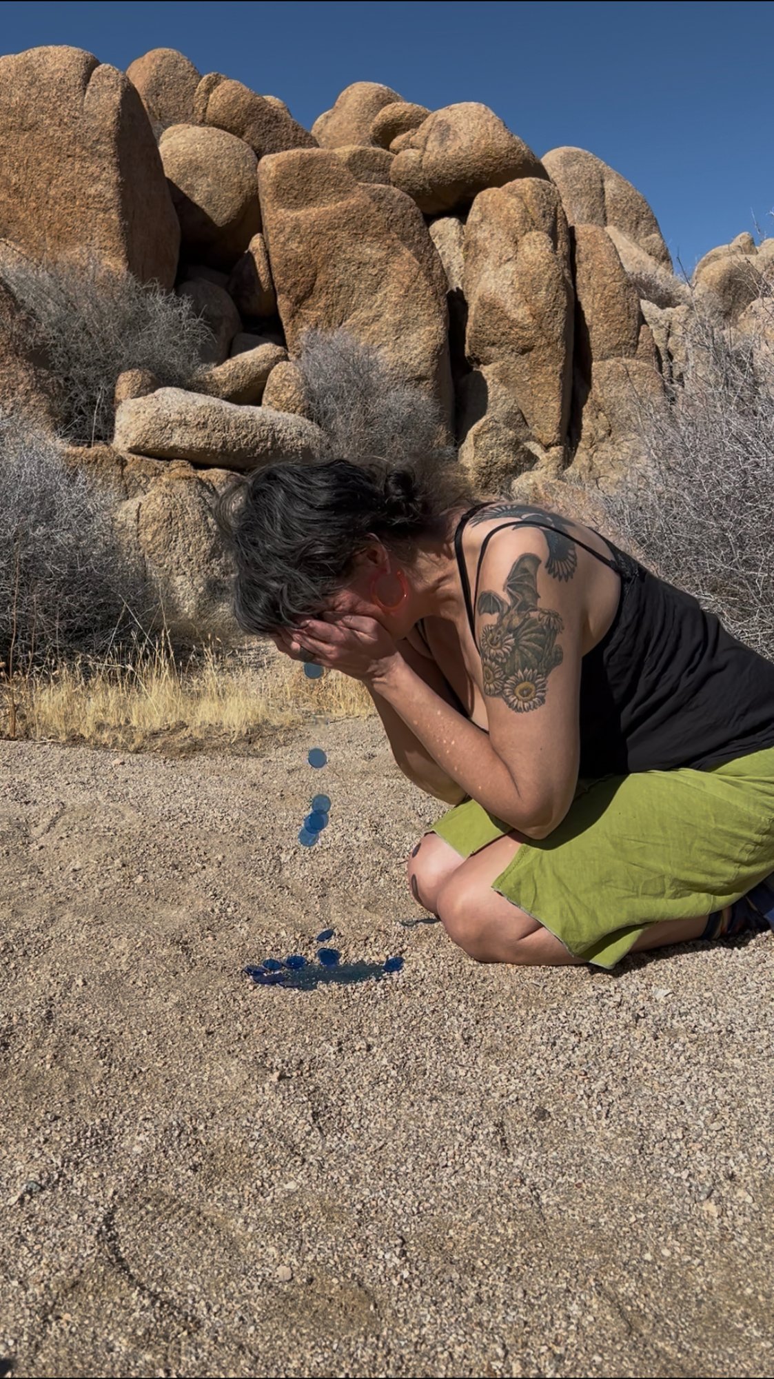 I Brought the Ocean to the Desert