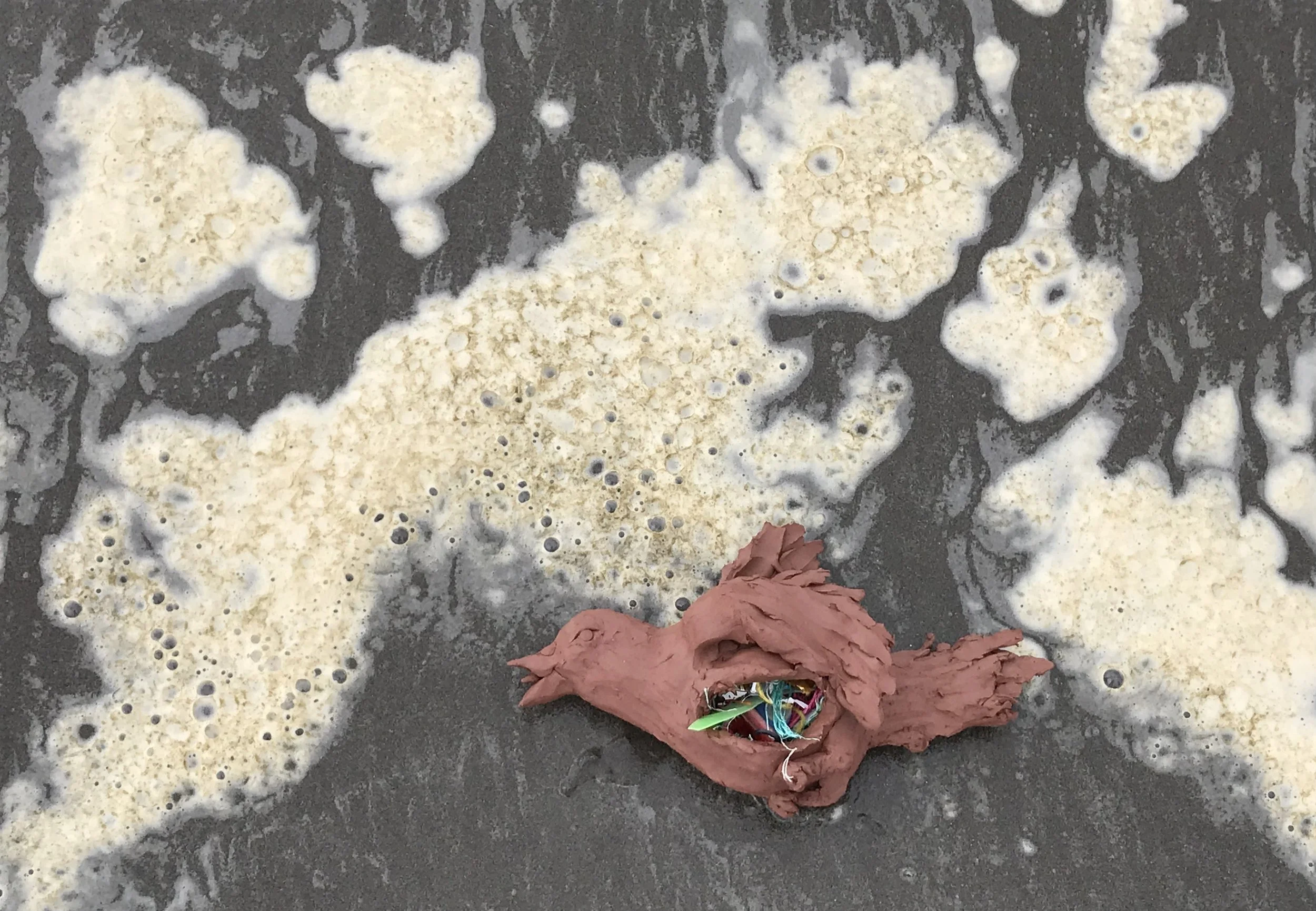 Invasive- Plastics are Consuming Us