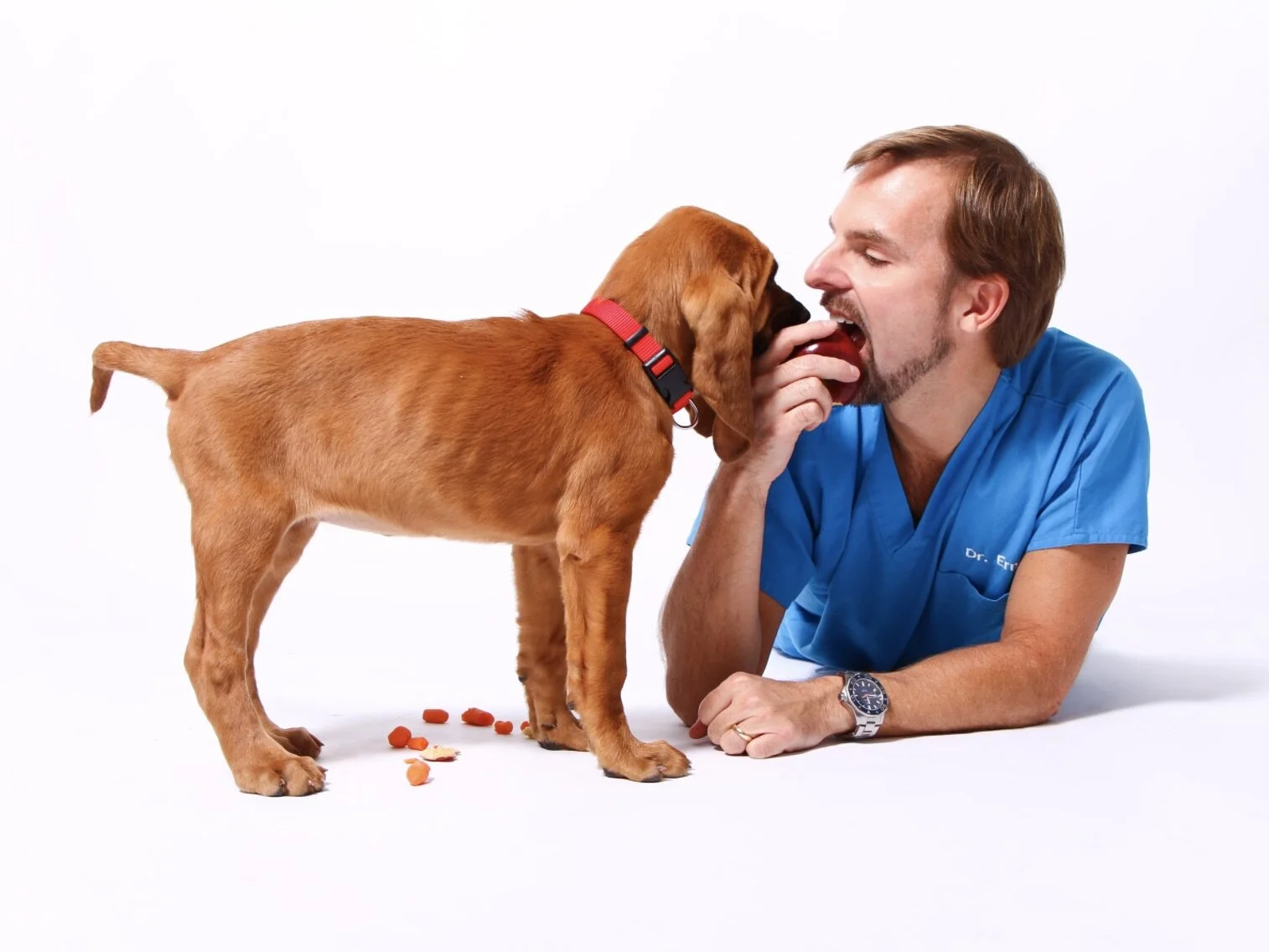 #45:  Dr. Ernie Ward - Is Your Dog Plant-Strong? Think About It.