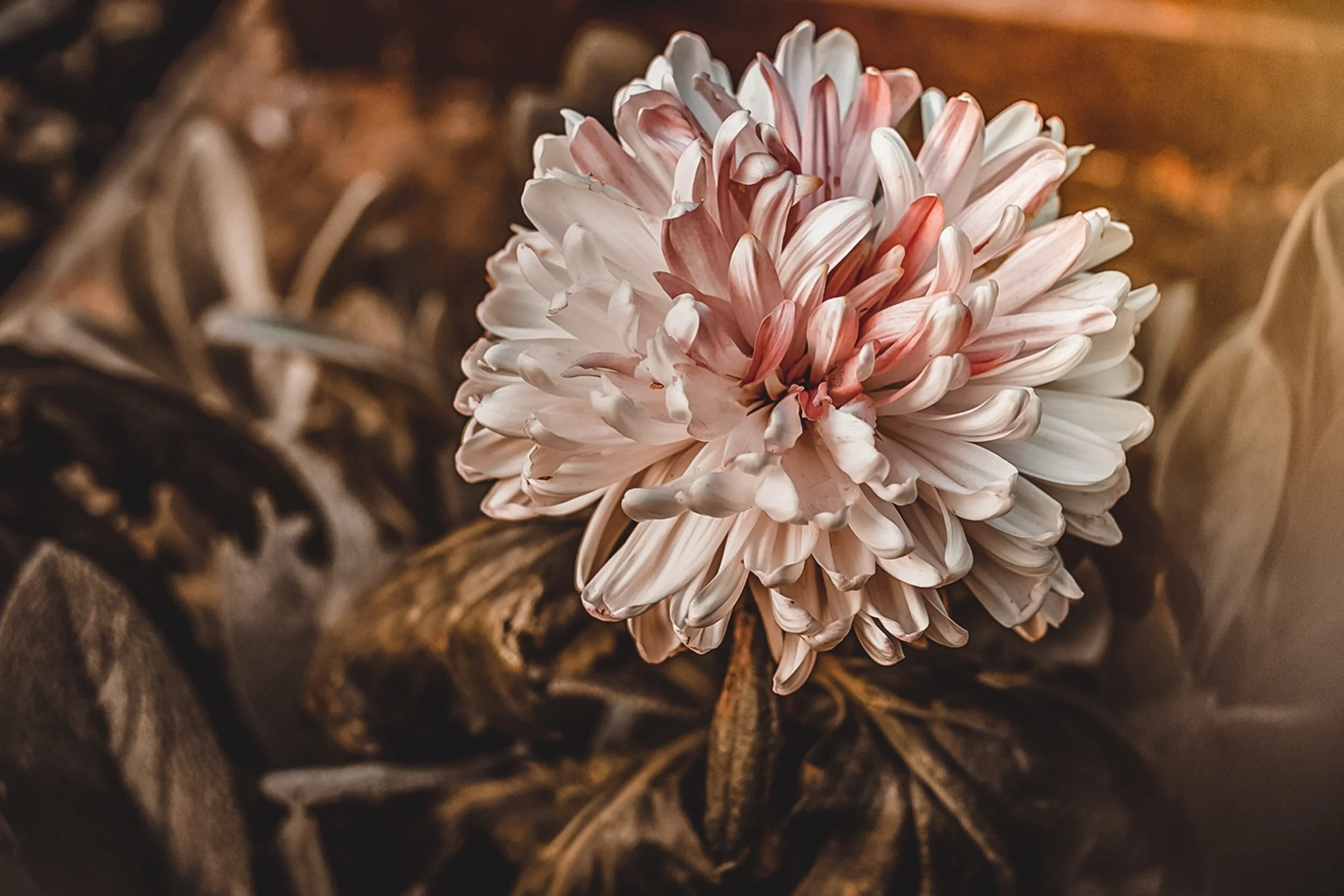 Women See Possibilities