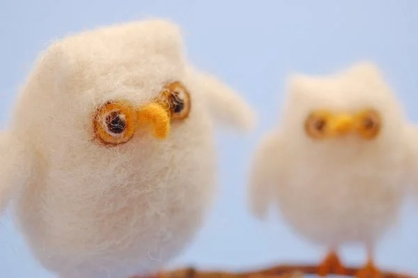 owlswoolbirds_grande.jpg