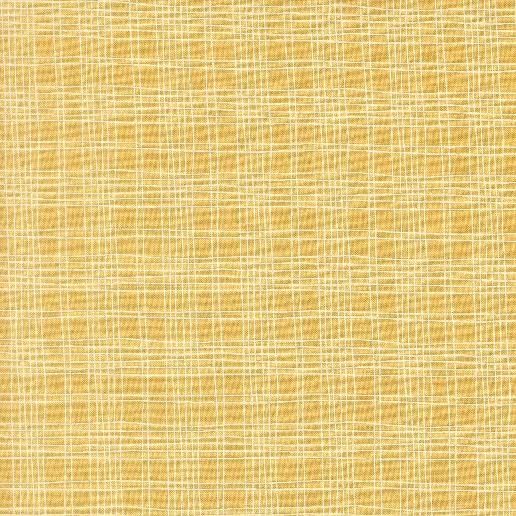 55737 15-Plaid-Sunshine.jpg