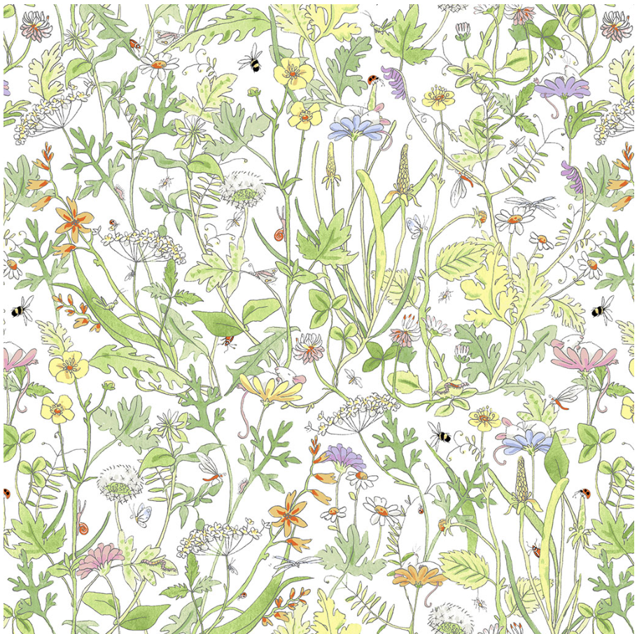 Meadow-White-Y4748-1.png