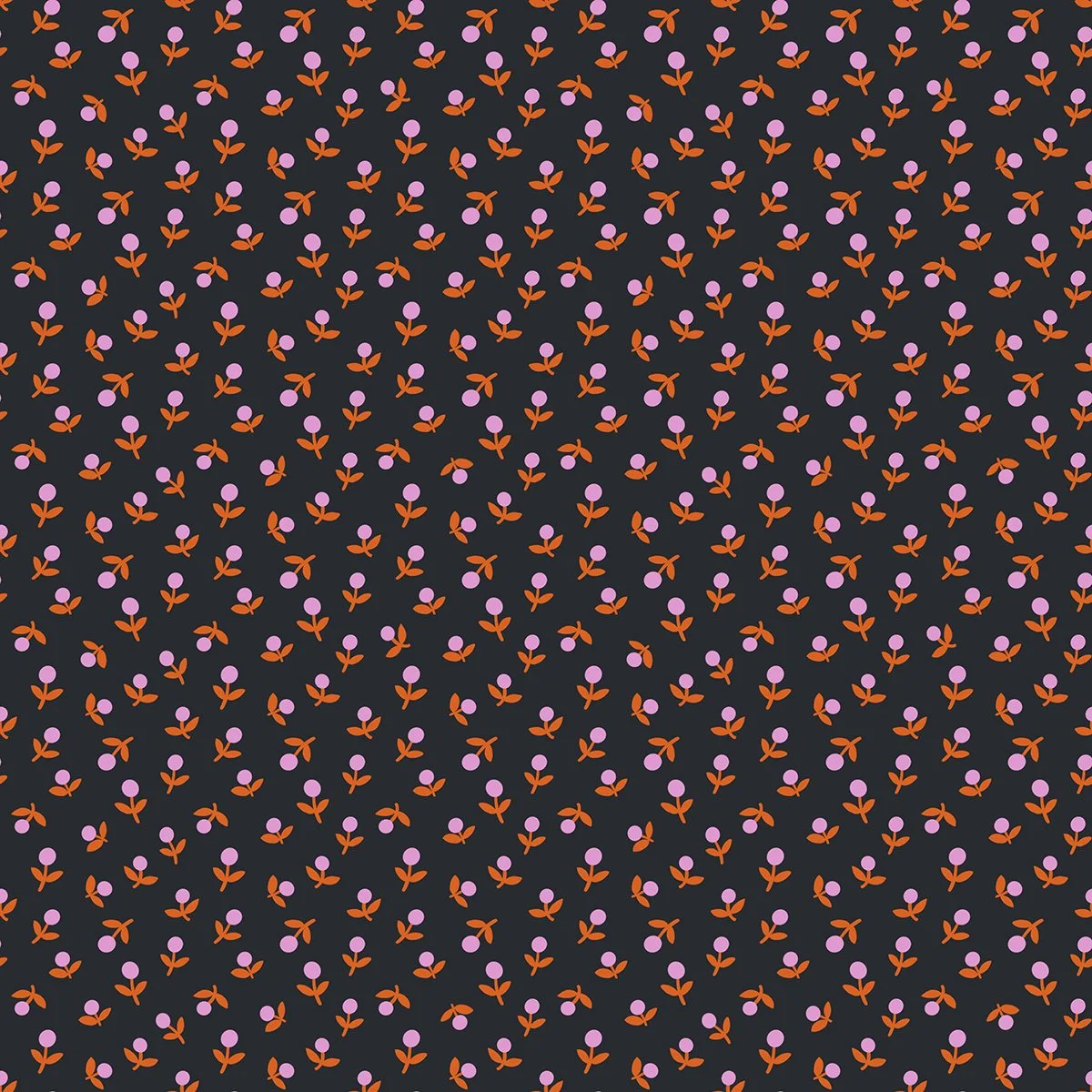 Meadow Star - Sprout - Soft Black