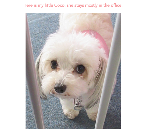 7 coco.png