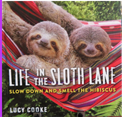 Like Sloths? Warmies? Read on…
